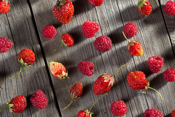 Background of natural fresh berries