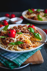 Close-up of Italian spaghetti with tomato sauce, Parmesan cheese and fresh basil on top, on dark background