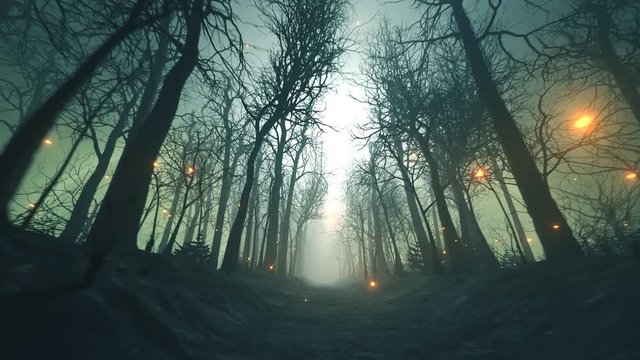 Fireflies in forest alley in dense fog. Dark, mysterious, fairytale landscape.