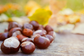 Couple of chestnuts on wooden background