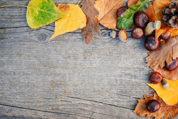 Naklejka na ściany i meble Autumn decoration with leaves on wooden surface