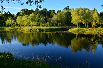 Bright summer, an urban green park with a pond, a summer landscape.