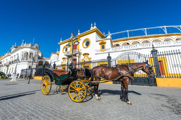Fototapeta premium Horse carriage in Seville in Andalusia, Spain