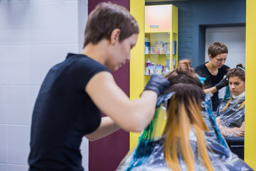 Obraz premium Professional hairdresser, stylist coloring hair of woman client at salon, studio. Beauty and fashion concept