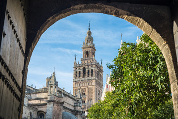 The Patio de Banderas in Seville, Spain.