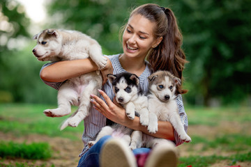Naklejka na ściany i meble A beautiful smiling woman with a ponytail and wearing a striped shirt is holding three sweet husky puppies on the lawn. Love and care for pets.