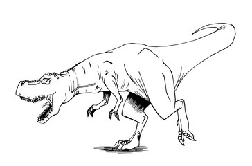 dinosauro tirannosauro rex disegnato a mano