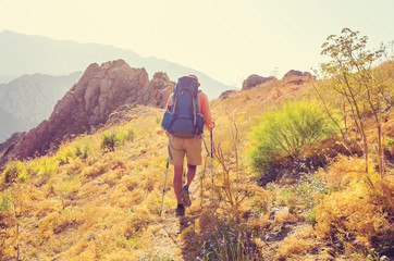 Obraz premium Summer hike