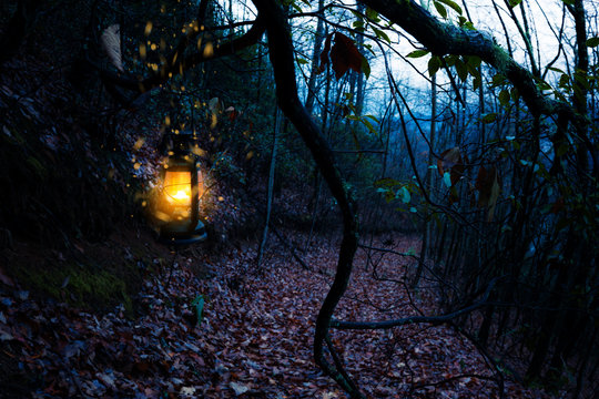 Fototapeta Vintage old burning yellow lantern at dark moody forest