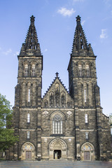 Fototapeta na wymiar Basilica of St. Peter and St. Paul in Prague