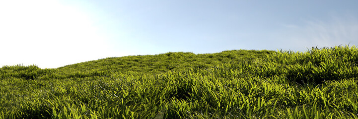 Grass to the horizon, widescreen background.
