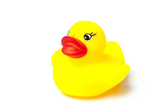 closeup of yellow rubber duck toy on white background