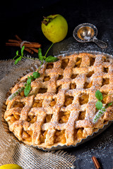 Tasty Apple pie with lattice upper crust