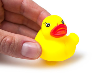 closeup of yellow rubber duck toy in hand on white background