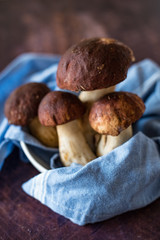 Porcini