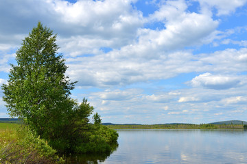 Summer landscape. Picturesque lake with with bush on shore in Finnish Lapland