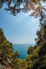 Fototapeta na wymiar Beauty nature landscape Crimea