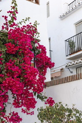 Fototapeta na wymiar Typical Andalusian Spanish white villages