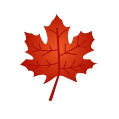 Fototapeta premium Red maple leaf flat icon isolated on white background. Vector illustration. Leaf symbol.