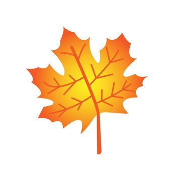 Realistic autumn fall golden maple leaf isolated on white background. Colorful vector beautiful element isolated banner. Vector illustration.