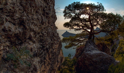Beauty nature landscape Crimea