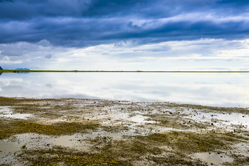 Beautiful isolated green colored Iceland lake with blue skies and puffy clouds. Reflection on water.