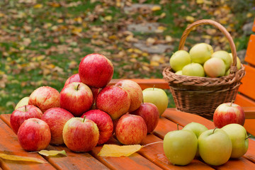Red apples on the table in garden