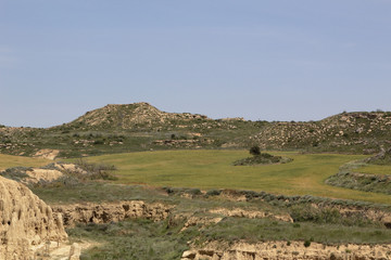 A landscape with cultivated fields and a small island with a tree in the middle