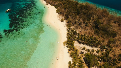 Aerial view of tropical beach on the island Malcapuya, Palawan, Philippines. Beautiful tropical island with sand beach, palm trees. Tropical landscape: beach with palm trees. Seascape: Ocean, sky, sea