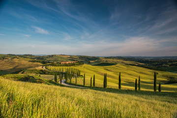 Tuscan countryside