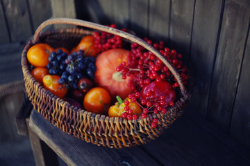 Autumn harvest/ settings table/thanksgiving day background
