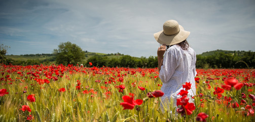 Poppies field