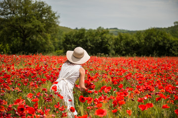 Poppies field