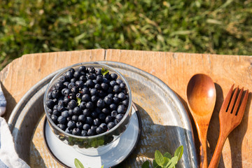 Close-up of delicious fresh blueberries in a plate