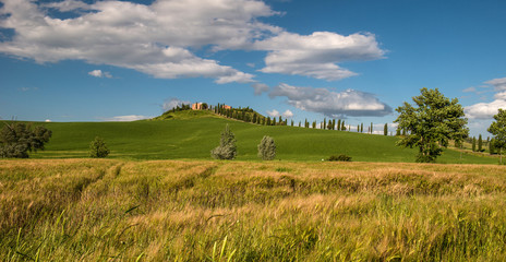 Obraz premium Tuscan countryside