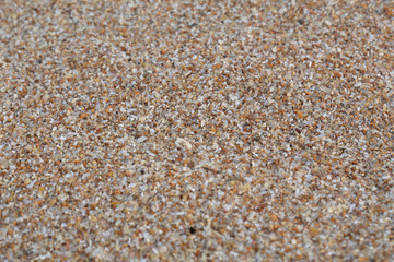 A close view of dry sand coming from Sahara, found in Las Teresitas beach in Tenerife