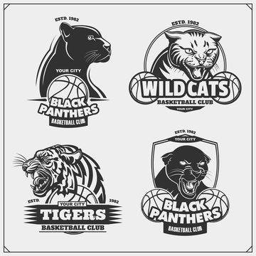 Set of basketball emblems, badges, logos and labels with tiger, panther and wildcat.