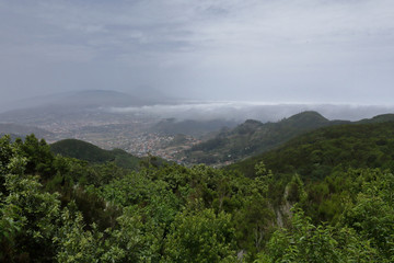 A path in the Anaga rural park in Tenerife island in the Canaries