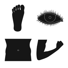 Vector design of human and part sign. Collection of human and woman stock symbol for web.