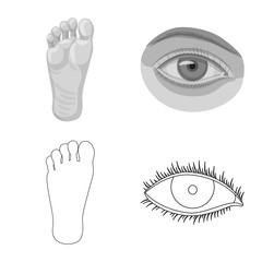 Vector design of human and part logo. Collection of human and woman vector icon for stock.