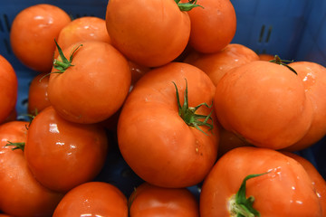 economie sociale gaspillage legumes soupe sain alimentation alimentaire production  tomates hygiene...