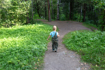 Obraz premium young boy in the forest