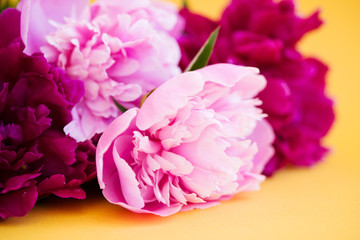 Bouquet of pink peonies on a cream background, top view, copy space