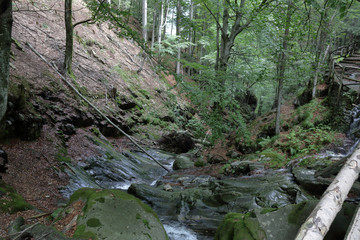 A creek and its waterfall in pine, firs and broadleaf forest in the mountains of Vigezzo Valley, northern Italy Alps