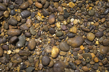 Closeup wet river stone background, natural concept, outdoor day light