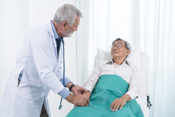Obraz premium Senior doctor holding the hands of elderly patient man