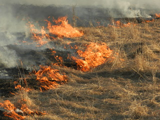 Fire in  fields