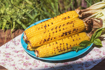 Corn baked in olive oil, with pepper, salt and basil on blue dish