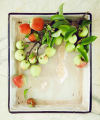 Fototapete bei efototapeten.de bestellen   