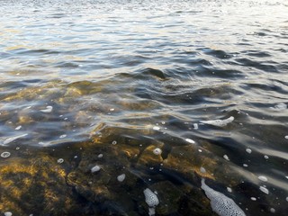 Water, wave, lake, reservoir, Creek